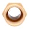 Kbi Charlotte Pipe FlowGuard 3/4 in. MPT X 3/4 in. D Slip CPVC Male Adapter 10 pk CTS02109C0800 - alternate 2